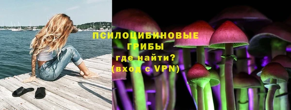 трава Алзамай