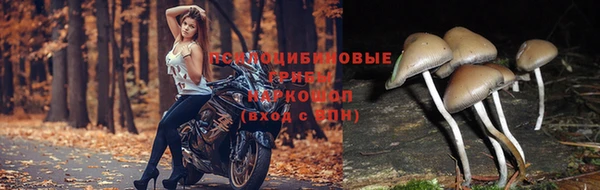 марихуана Абинск